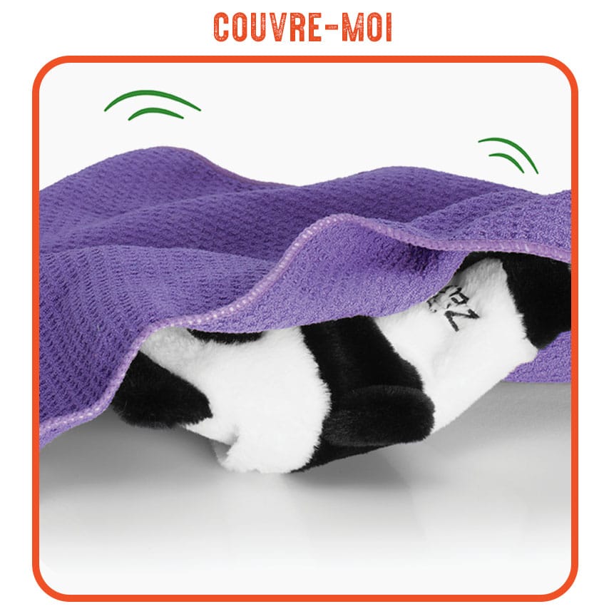 Jouet Wacky caché sous une couverture